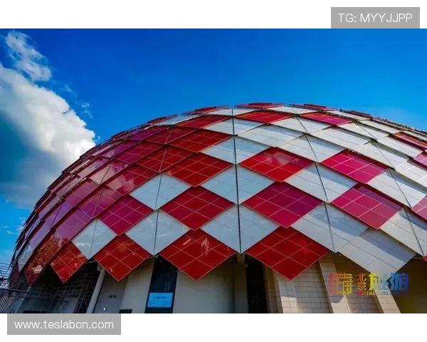 世界杯日本瑞典比赛场馆的历史背景与未来发展规划详尽介绍